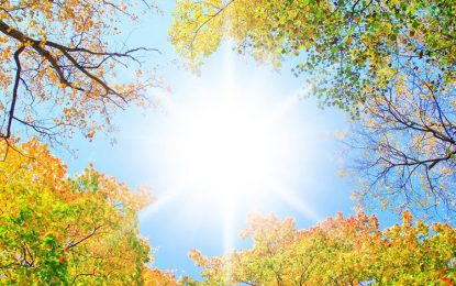 La campaña 2021/22 y el clima: otoño promedio, temperaturas benignas y no se descarta el regreso de “La Niña”