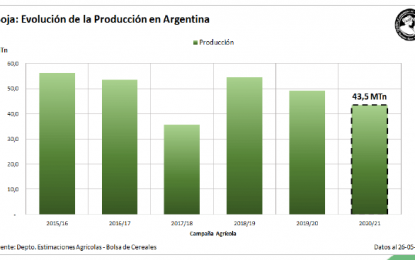 Elevan a 43,5 millones de toneladas la producción nacional de soja