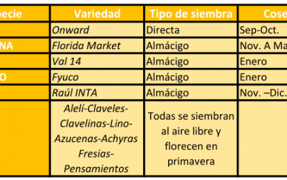 Invierno, la estación ideal para planificar la huerta de verano