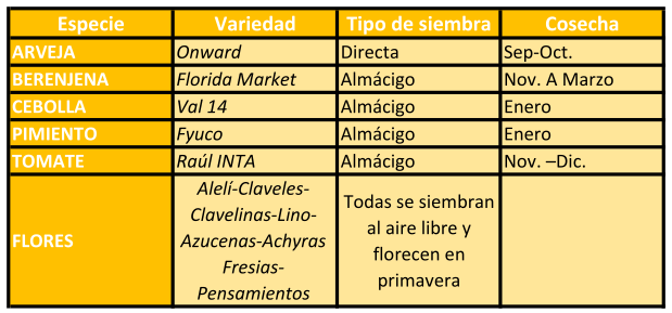 Invierno, la estación ideal para planificar la huerta de verano