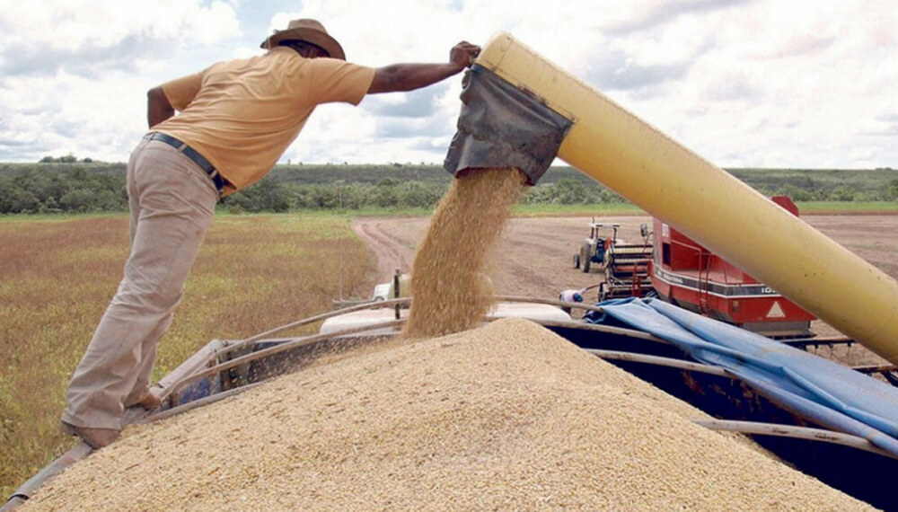 Productores del norte aclaran que no cobran los precios internacionales de los granos