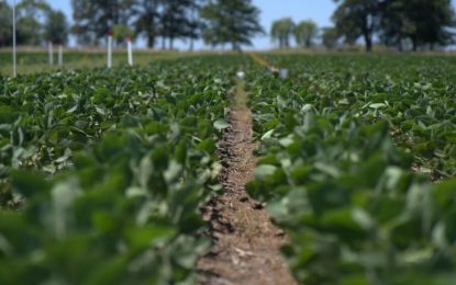 Una capacitación aportará las mejores recomendaciones de aplicación de herbicidas del “Sistema Enlist”