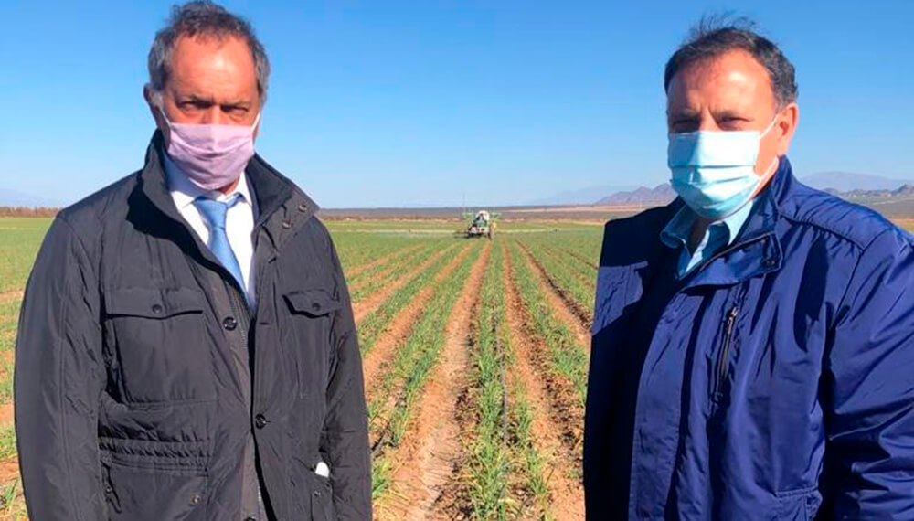 La recorrida de Scioli en San Juan y La Rioja: viñedos, ajo y exportaciones a Brasil