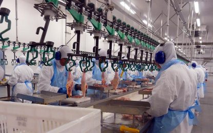 Es oficial: vuelven las exportaciones de carne aviar a la Unión Europea