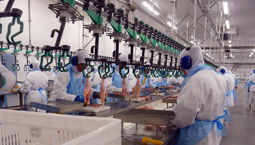 Es oficial: vuelven las exportaciones de carne aviar a la Unión Europea