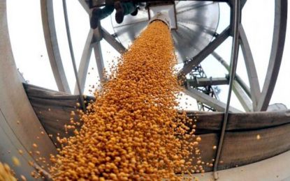 Otro récord: en mayo, el agro liquidó 3,5 mil millones de dólares