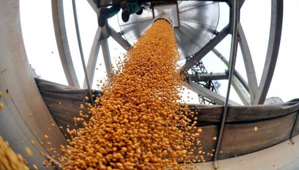 Otro récord: en mayo, el agro liquidó 3,5 mil millones de dólares
