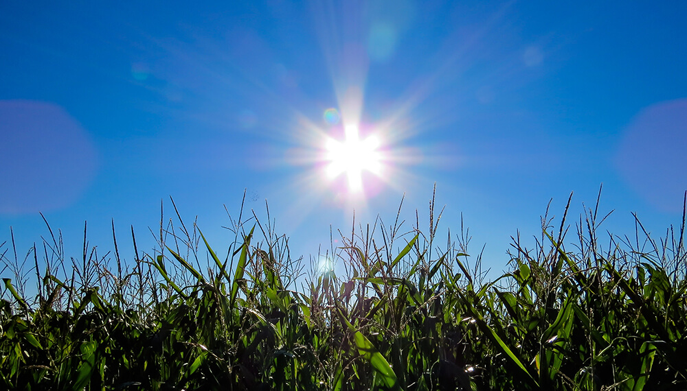 Se afianza la posibilidad de que La Niña se instale una vez que termine la primavera
