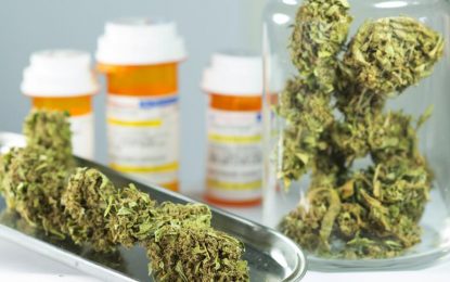 Los senadores dieron media sanción al marco regulatorio del cannabis medicinal y el cáñamo industrial