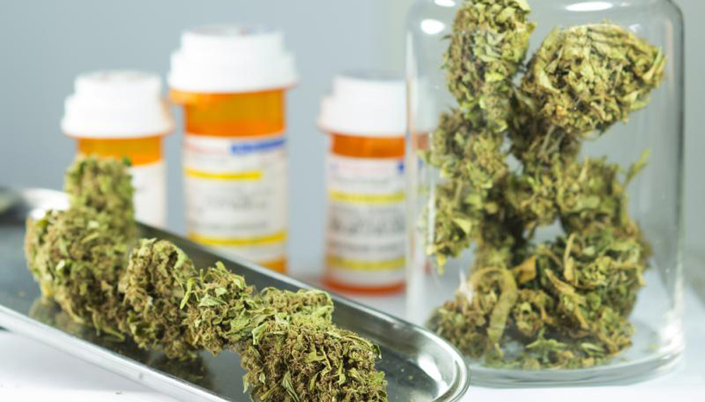 Los senadores dieron media sanción al marco regulatorio del cannabis medicinal y el cáñamo industrial