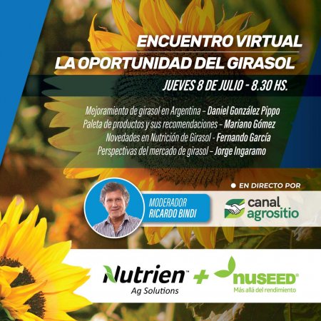 Se viene un encuentro virtual y gratuito sobre girasol