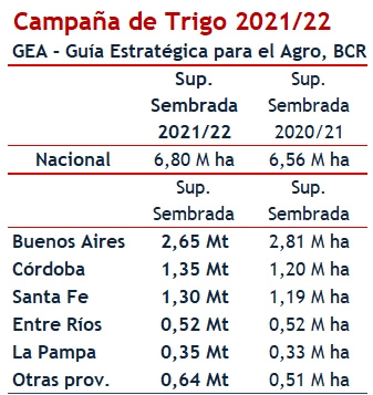 El trigo 2021, muy cerca de alcanzar el mayor nivel de siembra en 20 años