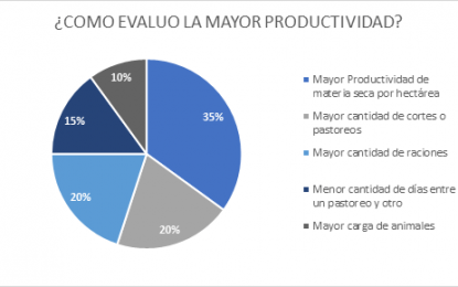 Mayor rendimiento, menos malezas: llegó el Sorgo 5.0