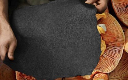 Un cuero ecológico hecho con hongos es igual al real y sale a la industria