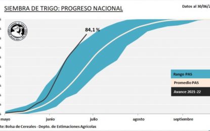 Los cereales de invierno siguen sembrándose a un gran ritmo