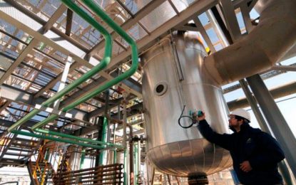 Biocombustibles y nueva prórroga: ahora, hasta finales de agosto