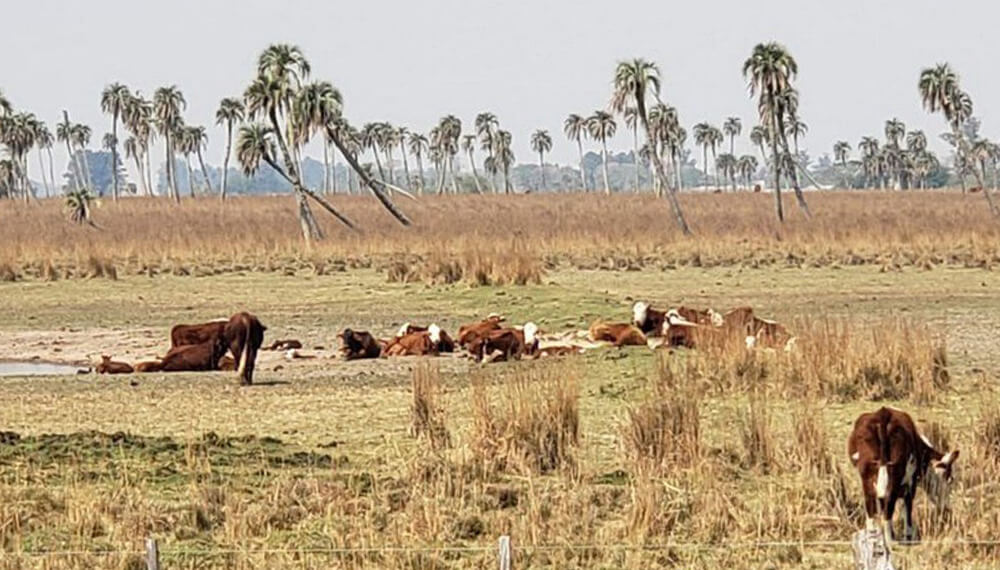 Varias provincias se oponen a la creación de una agencia federal de la evaluación ambiental