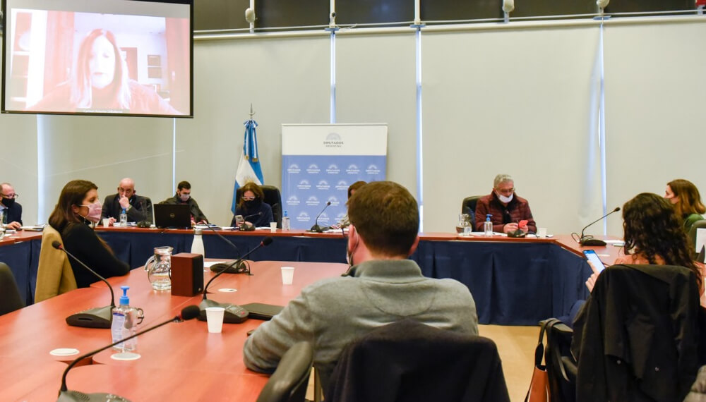 Avanzó en comisiones la Ley de Etiquetado Frontal y será debatida en la Cámara Baja