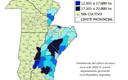 Con los mejores rindes de la década, la producción de arroz aumentó 20% en Argentina