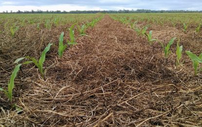 La agricultura, en el centro de un seminario de recursos naturales y desarrollo sostenible