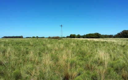 ¿Comprar, vender o alquilar campos? Cómo está la tendencia en medio del año electoral