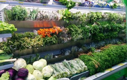 Seis consejos para conservar las hierbas que compramos en el supermercado