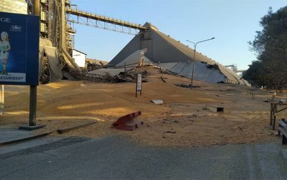Se derrumbó un silo de Bunge en el Puerto de Rosario