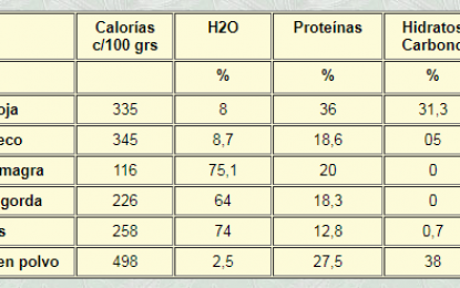 La calidad de la soja argentina en su momento más crítico