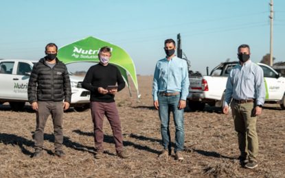 Maíz: ¿Cómo potenciar el rendimiento?