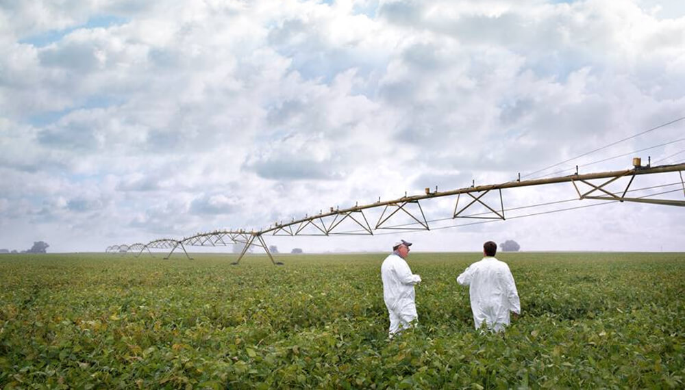 Un bioinsumo argentino fue reconocido por sus beneficios ambientales