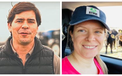 Una pareja productores mixtos protagoniza una microserie de televisión que muestra los desafíos de producir