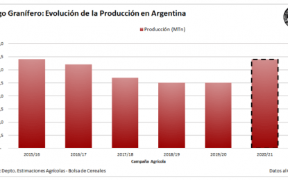 Más sorgo: elevan la estimación de producción nacional a 3,4 MTn