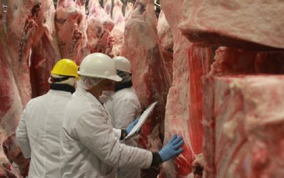 La Aduana actualizó los precios de exportación para cortes vacunos y bubalinos