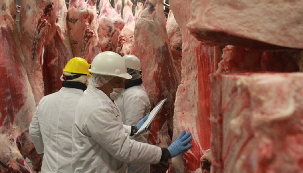 La Aduana actualizó los precios de exportación para cortes vacunos y bubalinos