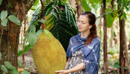 Jackfruit, la fruta que parece carne y es furor entre los veganos