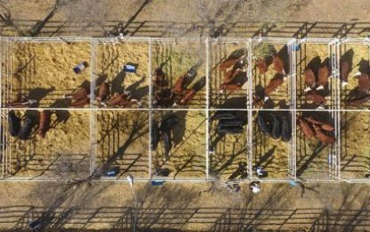 Volvieron los remates a Palermo: estos fueron los números