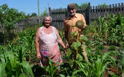 Entre Ríos: una familia produce tres kilos de verdura por día y ahorra más de $4.000 por mes