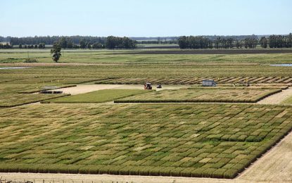 Los trabajadores del sector semillero acordaron una recomposición salarial del 49,5% hasta fin de año