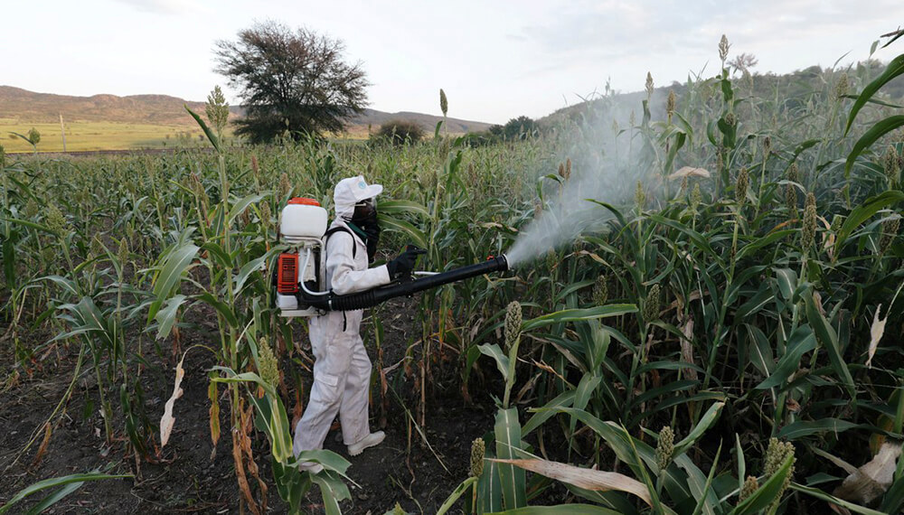 Estados Unidos prohibió un pesticida que se usa en Argentina