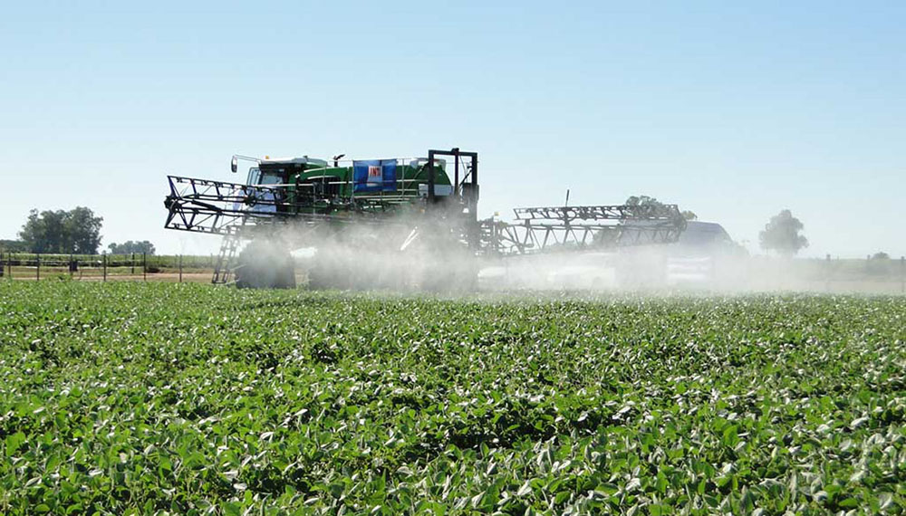En regresiva: el Senasa puso fecha final para el comercio y uso de un tradicional agroquímico