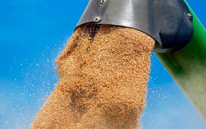 Subieron las cotizaciones futuras de trigo 21/22 y alcanzaron el mayor valor de 2013