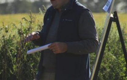 Tres opciones para que las orugas no les hagan un corte a los rindes