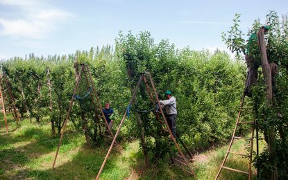 Trabajo golondrina y planes sociales: “La pyme agropecuaria necesita recuperar rentabilidad”