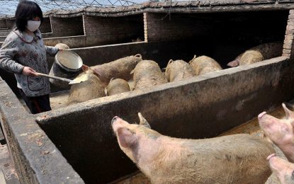 Se viene el #25A, la marcha contra el acuerdo porcino con China