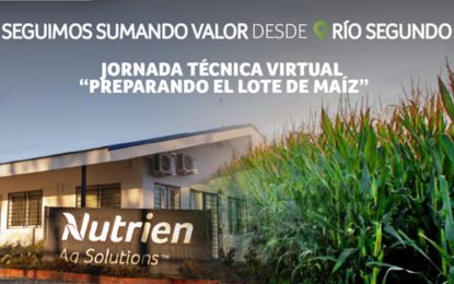 Llega una jornada virtual para preparar los nuevos lotes de maíz