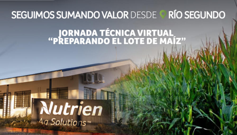 Llega una jornada virtual para preparar los nuevos lotes de maíz