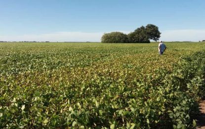 Con “La Niña” confirmada, su impacto comenzaría a partir de octubre