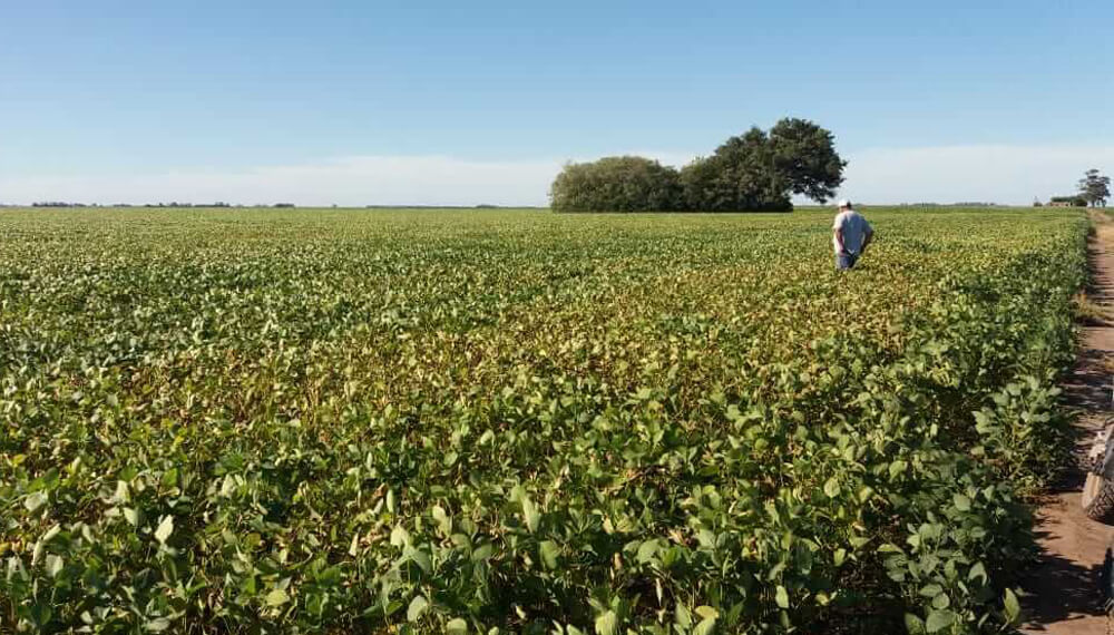 Con “La Niña” confirmada, su impacto comenzaría a partir de octubre