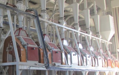 Argentina vuelve a exportar harina de trigo a Cuba, tras 15 años sin envíos a ese país