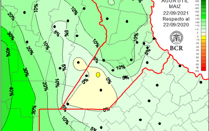 Falta disponibilidad de agua y hay riesgos de detención de la siembra de maíz